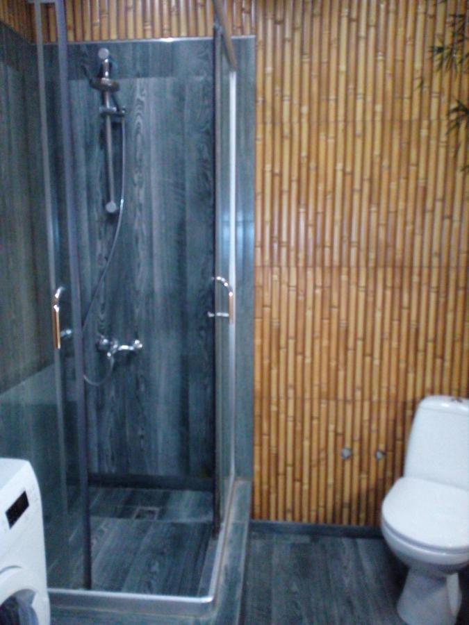 Бруклінський Міст.Студія В Центрі. İvano-Frankivsk Dış mekan fotoğraf